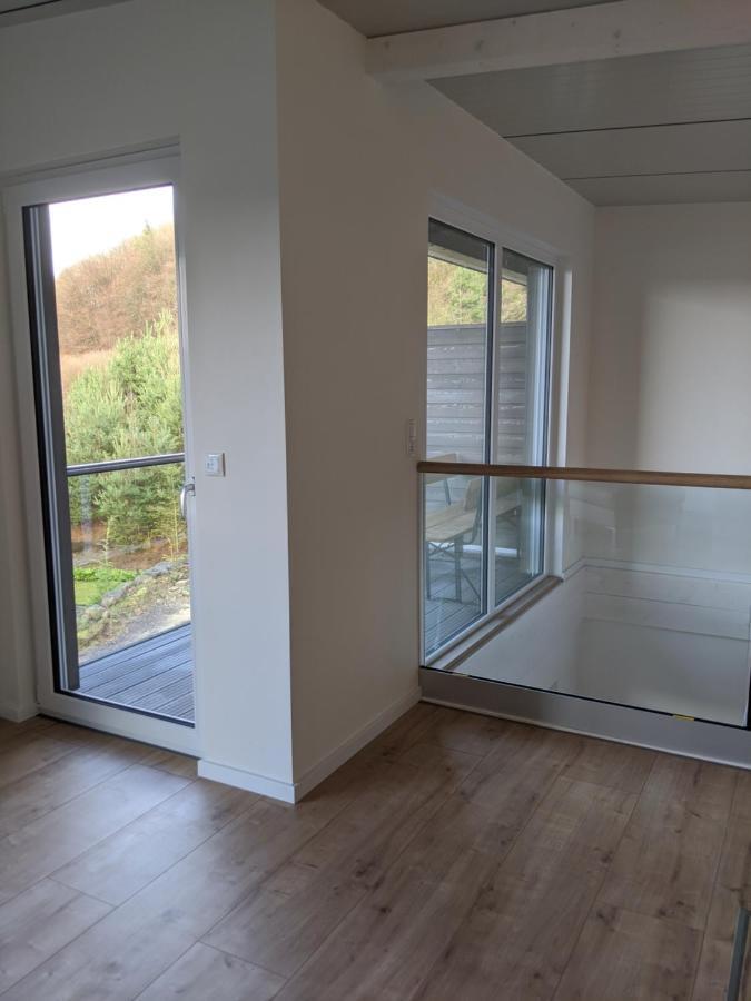 Ferienhaus Schieferterrasse - Waldsee Rieden - Exteriér fotografie